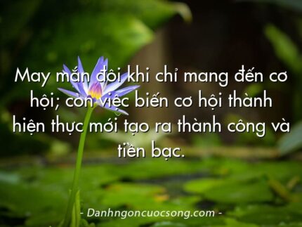 May mắn đôi khi chỉ mang đến cơ hội; còn việc biến cơ hội thành hiện thực mới tạo ra thành công và tiền bạc.