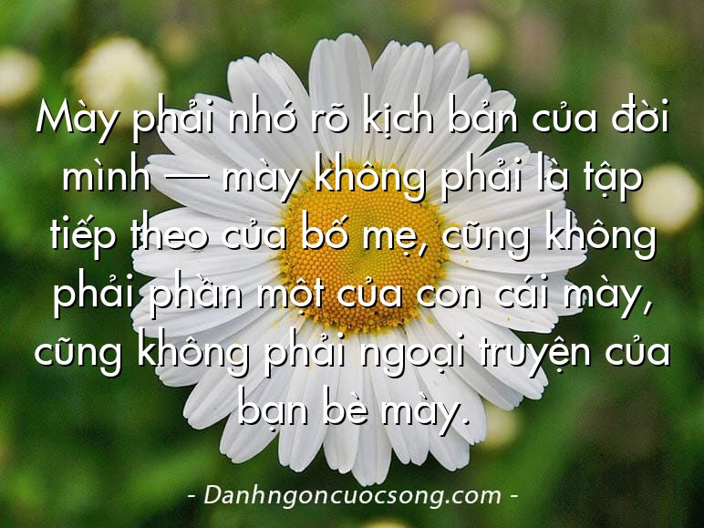 Mày phải nhớ rõ kịch bản của đời mình — mày không phải là tập tiếp theo của bố mẹ, cũng không phải phần một của con cái mày, cũng không phải ngoại truyện của bạn bè mày.