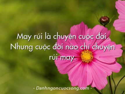 May rủi là chuyện cuộc đời. Nhưng cuộc đời nào chỉ chuyện rủi may.