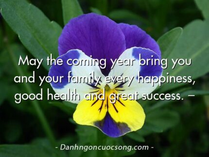 May the coming year bring you and your family every happiness, good health and great success. –
