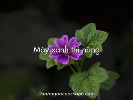 Mây xanh thì nắng