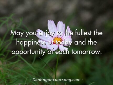 May you enjoy to the fullest the happiness of today and the opportunity of each tomorrow.