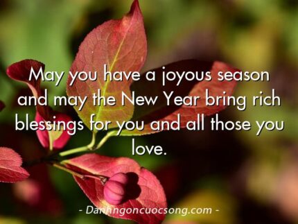 May you have a joyous season and may the New Year bring rich blessings for you and all those you love.