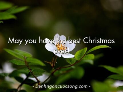 May you have the best Christmas ever!