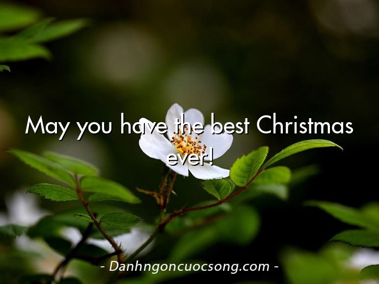 May you have the best Christmas ever!