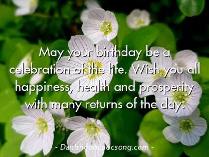 May your birthday be a celebration of the life. Wish you all happiness, health and prosperity with many returns of the day.