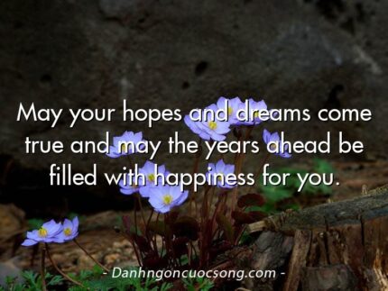 May your hopes and dreams come true and may the years ahead be filled with happiness for you.