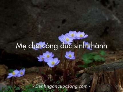 Mẹ cha công đức sinh thành