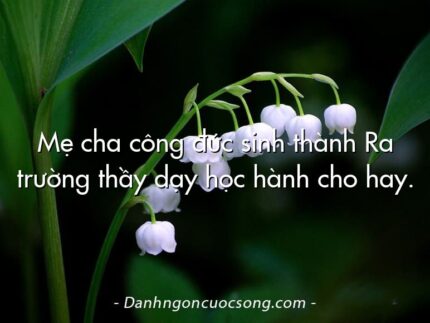 Mẹ cha công đức sinh thành Ra trường thầy dạy học hành cho hay.