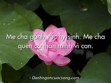 Mẹ cha gánh vác hy sinh. Mẹ cha quên cả thân mình vì con.
