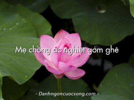 Mẹ chồng ác nghiệt gớm ghê