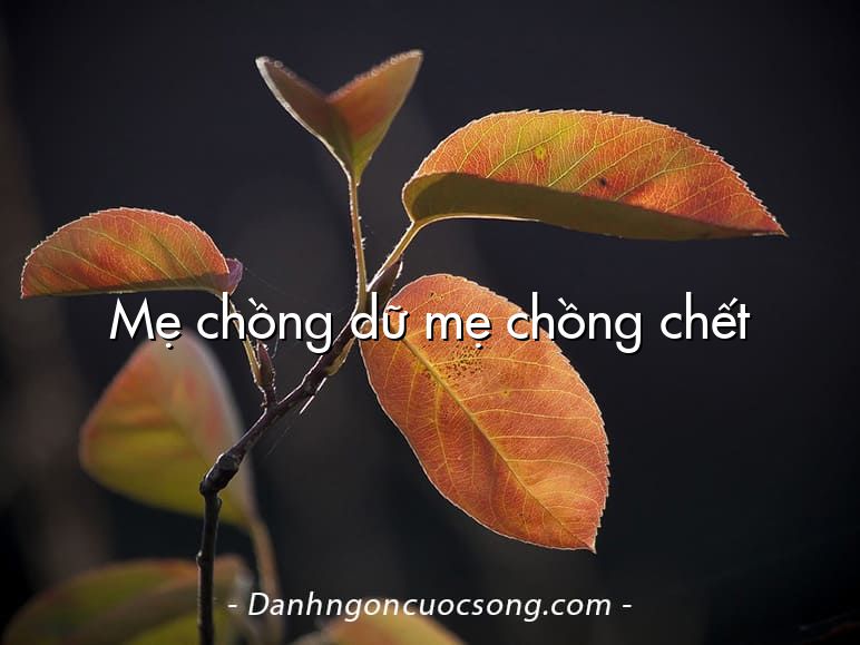 Mẹ chồng dữ mẹ chồng chết