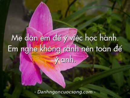 Mẹ dặn em để ý việc học hành. Em nghe không rành nên toàn để ý anh.