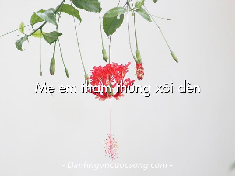 Mẹ em tham thúng xôi dền