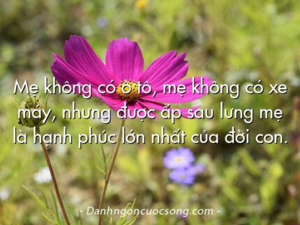 Mẹ không có ô tô, mẹ không có xe máy, nhưng được ấp sau lưng mẹ là hạnh phúc lớn nhất của đời con.