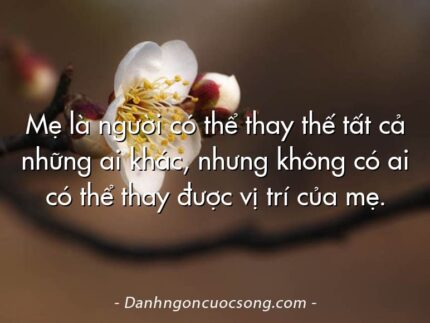 Mẹ là người có thể thay thế tất cả những ai khác, nhưng không có ai có thể thay được vị trí của mẹ.