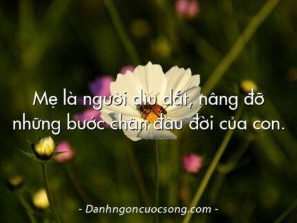 Mẹ là người dìu dắt, nâng đỡ những bước chân đầu đời của con.