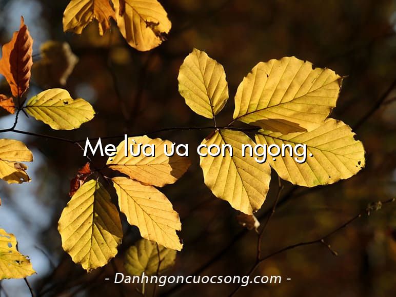 Mẹ lừa ưa con ngọng.