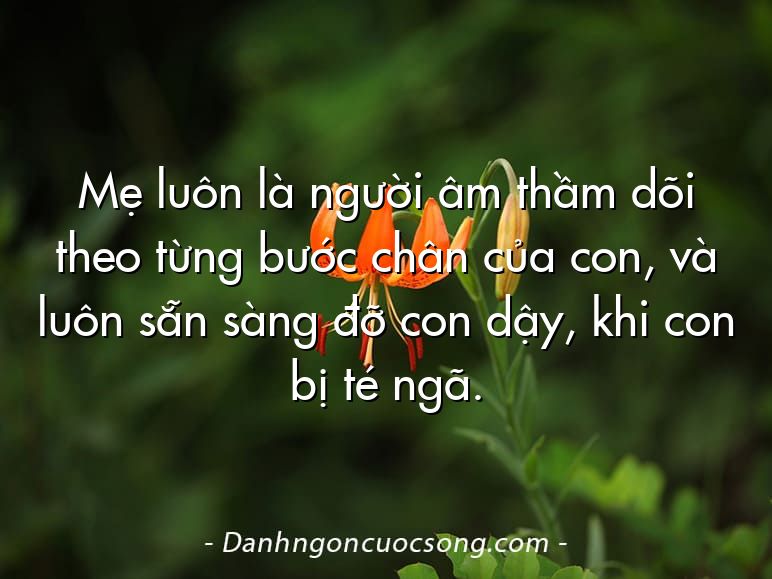 Mẹ luôn là người âm thầm dõi theo từng bước chân của con, và luôn sẵn sàng đỡ con dậy, khi con bị té ngã.