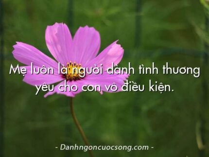 Mẹ luôn là người dành tình thương yêu cho con vô điều kiện.