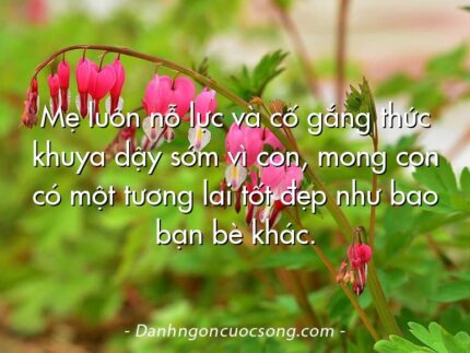 Mẹ luôn nỗ lực và cố gắng thức khuya dậy sớm vì con, mong con có một tương lai tốt đẹp như bao bạn bè khác.