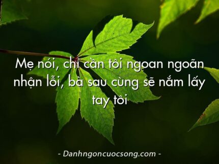 Mẹ nói, chỉ cần tôi ngoan ngoãn nhận lỗi, bà sau cùng sẽ nắm lấy tay tôi