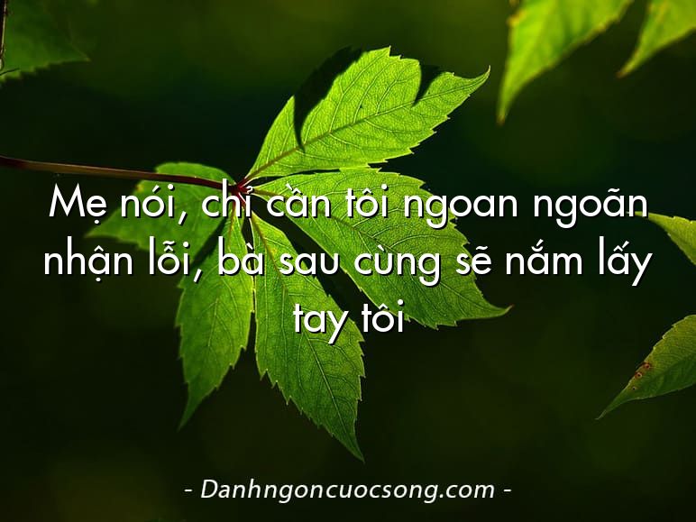 Mẹ nói, chỉ cần tôi ngoan ngoãn nhận lỗi, bà sau cùng sẽ nắm lấy tay tôi