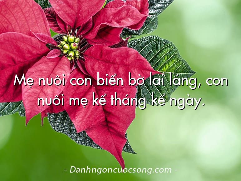 Mẹ nuôi con biển bờ lai láng, con nuôi mẹ kể tháng kể ngày.