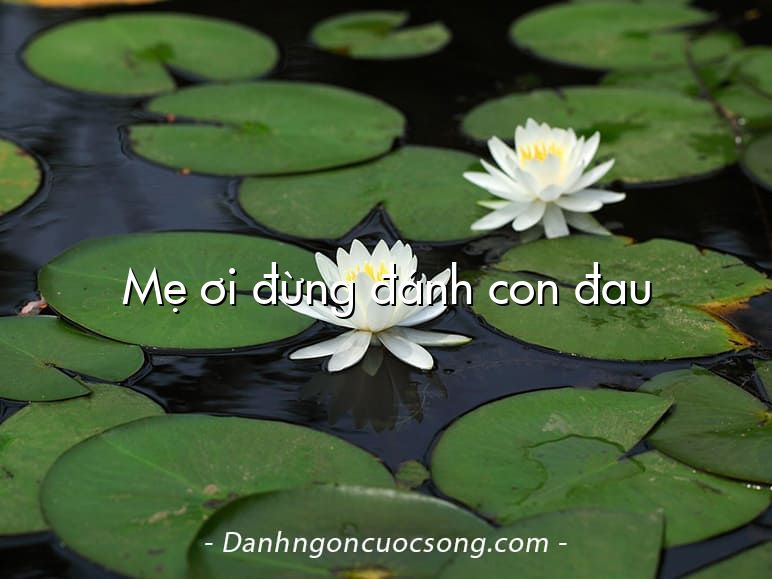 Mẹ ơi đừng đánh con đau