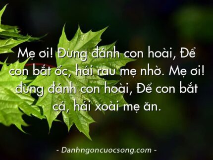 Mẹ ơi! Đừng đánh con hoài, Để con bắt ốc, hái rau mẹ nhờ. Mẹ ơi! đừng đánh con hoài, Để con bắt cá, hái xoài mẹ ăn.