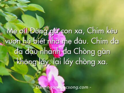 Mẹ ơi! Đừng gả con xa, Chim kêu vượn hú biết nhà mẹ đâu. Chim đa đa đậu nhánh đa Chồng gần không lấy, lại lấy chồng xa.