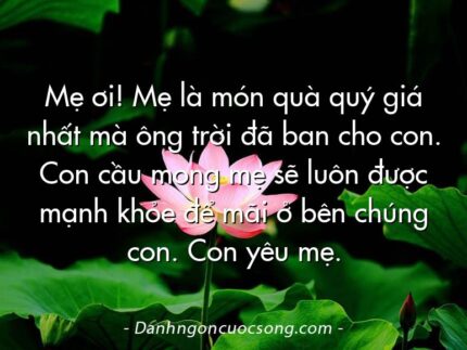 Mẹ ơi! Mẹ là món quà quý giá nhất mà ông trời đã ban cho con. Con cầu mong mẹ sẽ luôn được mạnh khỏe để mãi ở bên chúng con. Con yêu mẹ.