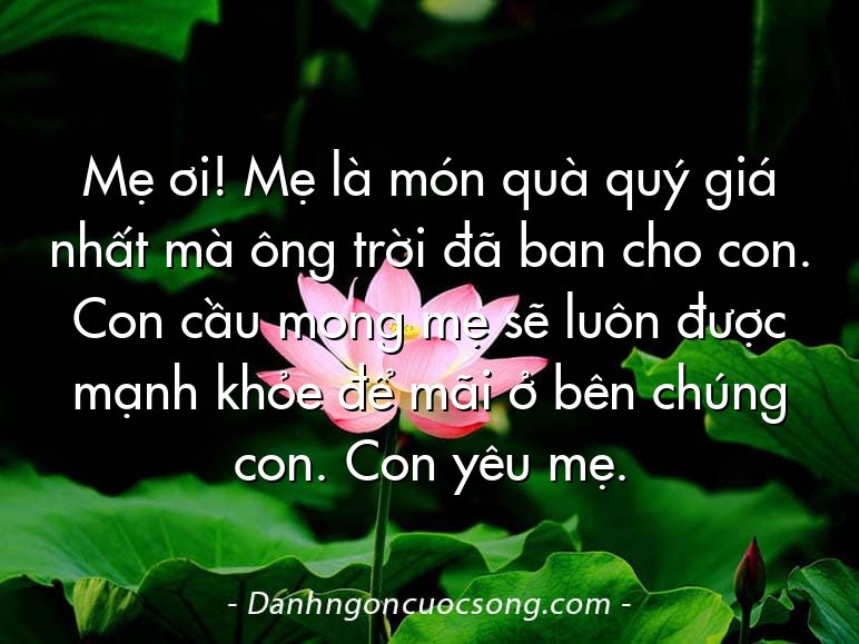 Mẹ ơi! Mẹ là món quà quý giá nhất mà ông trời đã ban cho con. Con cầu mong mẹ sẽ luôn được mạnh khỏe để mãi ở bên chúng con. Con yêu mẹ.
