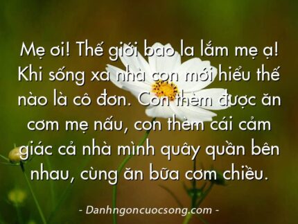 Mẹ ơi! Thế giới bao la lắm mẹ ạ! Khi sống xa nhà con mới hiểu thế nào là cô đơn. Con thèm được ăn cơm mẹ nấu, con thèm cái cảm giác cả nhà mình quây quần bên nhau, cùng ăn bữa cơm chiều.