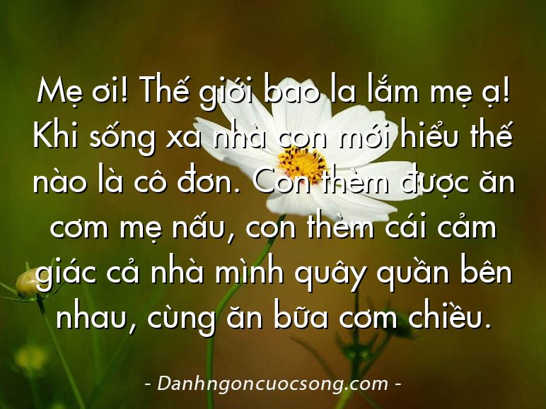 Mẹ ơi! Thế giới bao la lắm mẹ ạ! Khi sống xa nhà con mới hiểu thế nào là cô đơn. Con thèm được ăn cơm mẹ nấu, con thèm cái cảm giác cả nhà mình quây quần bên nhau, cùng ăn bữa cơm chiều.
