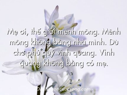 Mẹ ơi, thế giới mênh mông. Mênh mông không bằng nhà mình. Dù cho phú quý vinh quang. Vinh quang không bằng có mẹ.