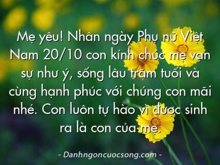 Mẹ yêu! Nhân ngày Phụ nữ Việt Nam 20/10 con kính chúc mẹ vạn sự như ý, sống lâu trăm tuổi và cùng hạnh phúc với chúng con mãi nhé. Con luôn tự hào vì được sinh ra là con của mẹ.