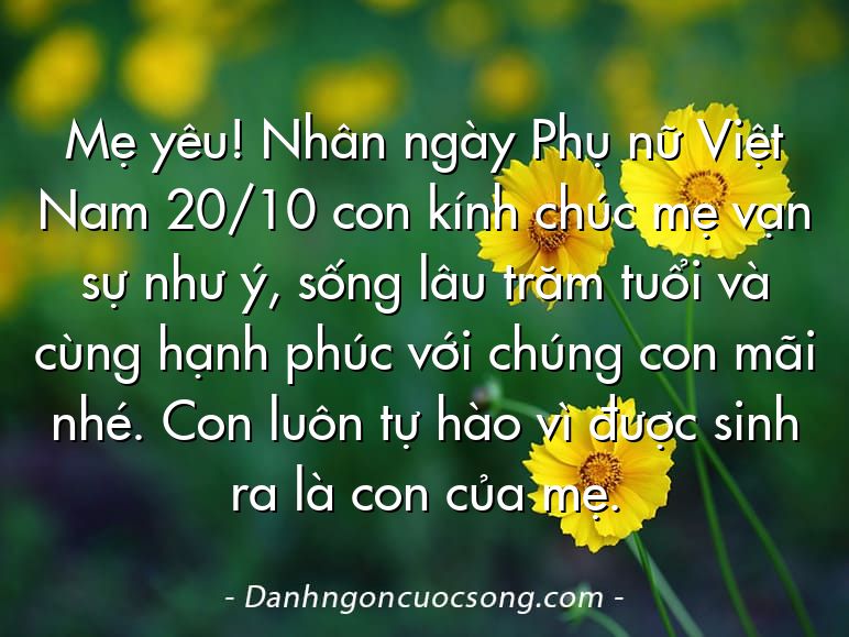 Mẹ yêu! Nhân ngày Phụ nữ Việt Nam 20/10 con kính chúc mẹ vạn sự như ý, sống lâu trăm tuổi và cùng hạnh phúc với chúng con mãi nhé. Con luôn tự hào vì được sinh ra là con của mẹ.