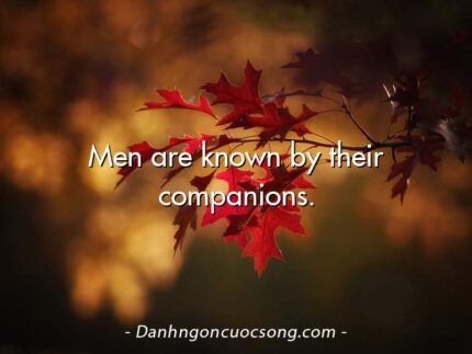 Men are known by their companions.