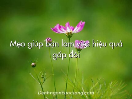 Mẹo giúp bạn làm việc hiệu quả gấp đôi