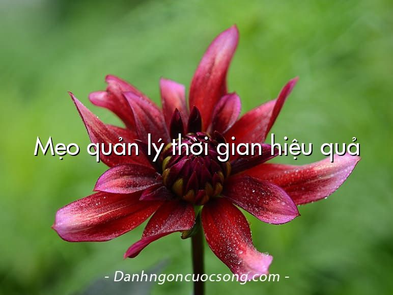 Mẹo quản lý thời gian hiệu quả