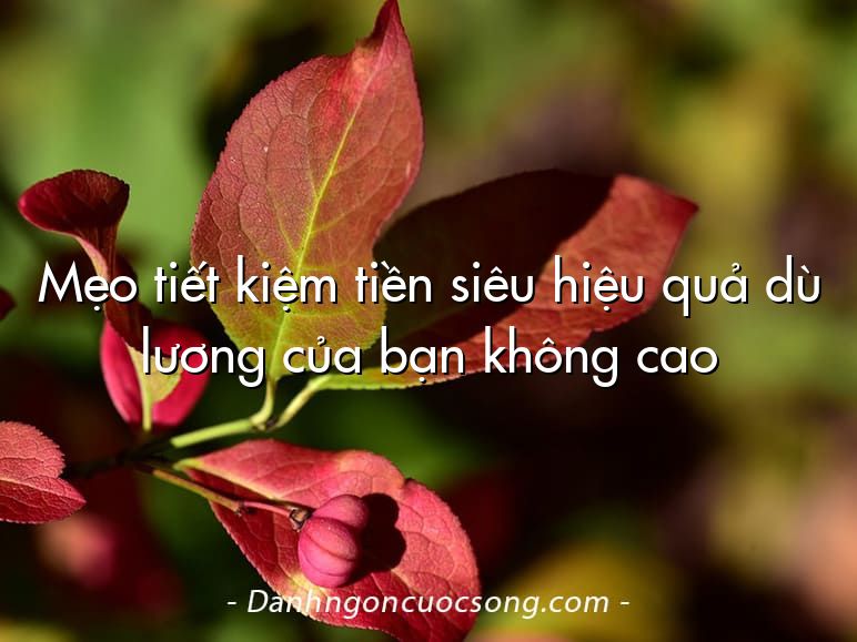 Mẹo tiết kiệm tiền siêu hiệu quả dù lương của bạn không cao