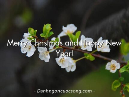 Merry Christmas and Happy New Year!