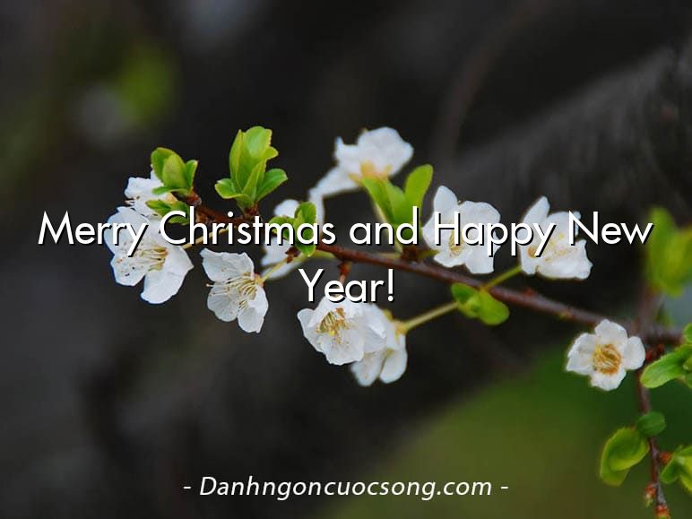 Merry Christmas and Happy New Year!