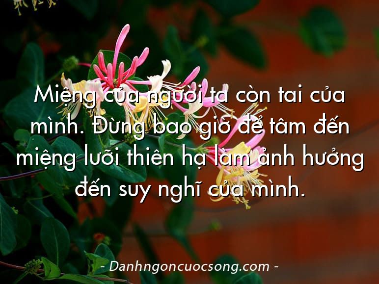Miệng của người ta còn tai của mình. Đừng bao giờ để tâm đến miệng lưỡi thiên hạ làm ảnh hưởng đến suy nghĩ của mình.