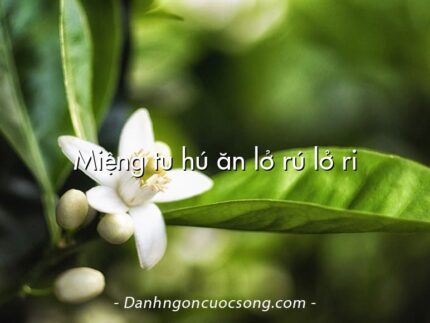Miệng tu hú ăn lở rú lở ri