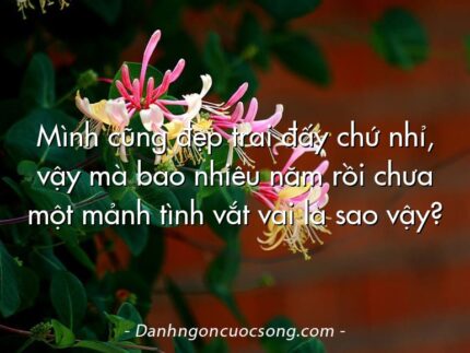 Mình cũng đẹp trai đấy chứ nhỉ, vậy mà bao nhiêu năm rồi chưa một mảnh tình vắt vai là sao vậy?
