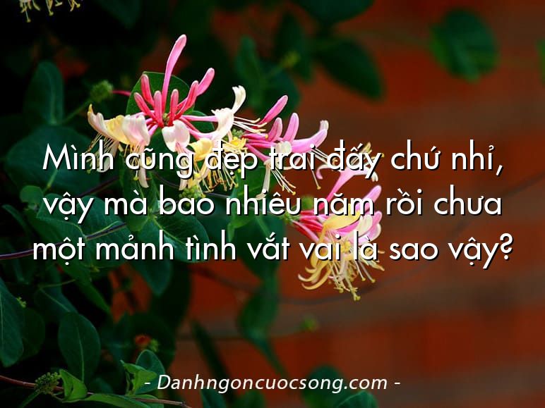 Mình cũng đẹp trai đấy chứ nhỉ, vậy mà bao nhiêu năm rồi chưa một mảnh tình vắt vai là sao vậy?