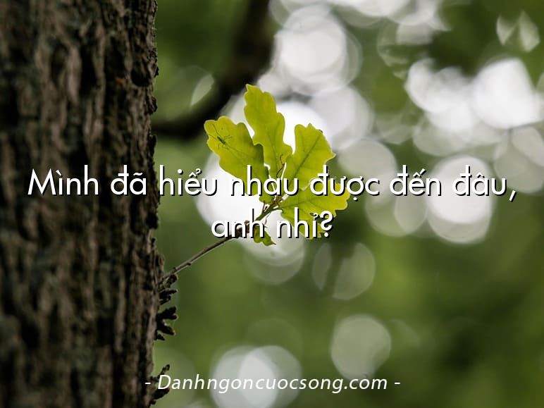 Mình đã hiểu nhau được đến đâu, anh nhỉ?