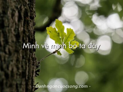 Mình về mình bỏ ta đây